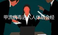 甲流病毒进入人体后会经历什么�？