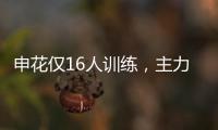 快排公司十年历程，霸屏兔 seo 的崛起与坚守