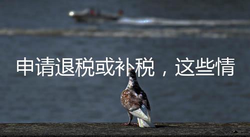需要说明的申请税情是
