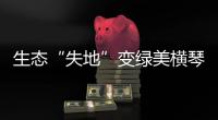 生态“失地”变绿美横琴�，历经15年这里成为生态新家园