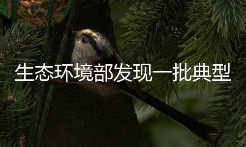 生态生态在监督帮扶中