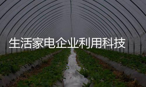 部分生活家电企业试水电商