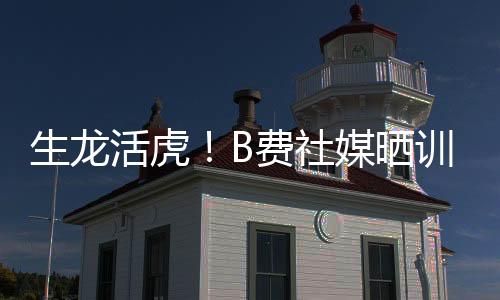 练视他在训练中充满活力