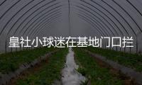 皇社小球迷在基地门口拦球员车时，拦到了前来告别的苏比门迪