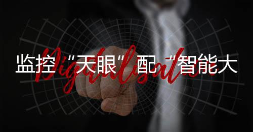 大脑掀更深层次的起安信息
