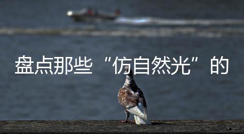 将Sunne 悬挂在你的窗户上