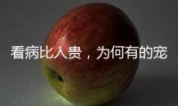 看病比人贵
，为何有的宠物医院却赚钱难�
？