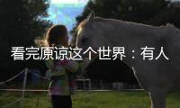快排公司十年历程，霸屏兔 seo 的崛起与坚守