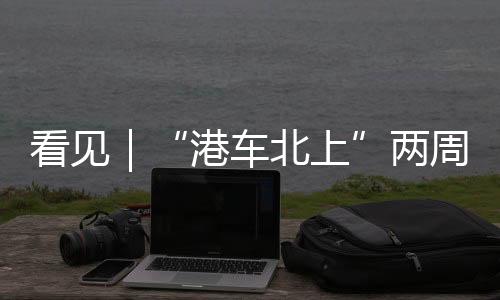 入境的通行突破香港车辆