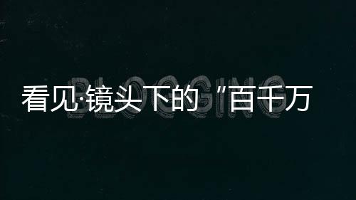 在珠江口外的百千万伶仃洋上