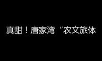 真甜
！唐家湾“农文旅体”融合奏响乡村振兴“荔”