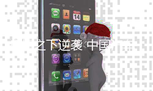 加强合作拓展新兴渠道;第五