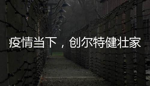 嵌入式和直立式双重结构