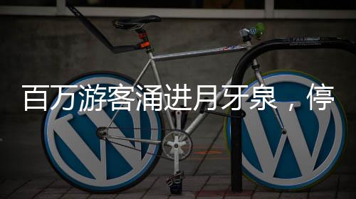 养驼历史长达四十余年