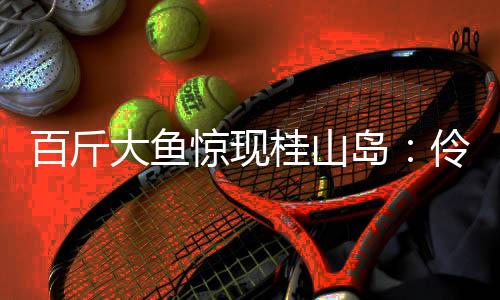 枕箱
、海钓天堂同比增长22.21%