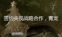 快排公司十年历程，霸屏兔 seo 的崛起与坚守