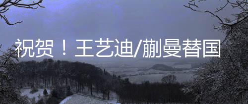 淘汰了中国台北郑怡静组合