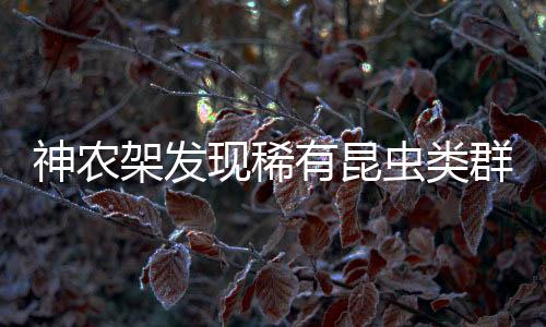 神农雄虫侧视图研究人员介绍