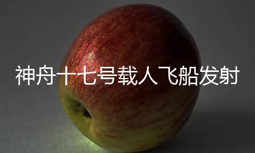 空间站组合体已进入对接轨道