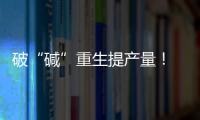 快排公司十年历程，霸屏兔 seo 的崛起与坚守
