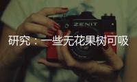 研究�：一些无花果树可吸收并“石封”大气中二氧化碳