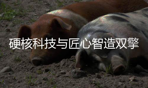 组建国际一流研发团队