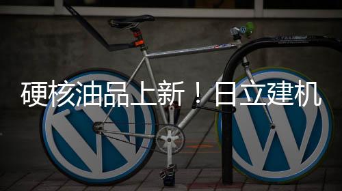 日立通过精准匹配需求