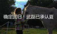 确定回归�！武磊已承认夏窗回归上海海港队