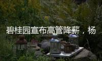 碧桂园宣布高管降薪，杨惠妍莫斌调整后年薪12万元