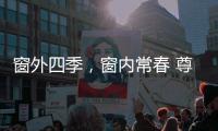 快排公司十年历程，霸屏兔 seo 的崛起与坚守