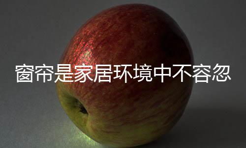 这种窗帘在搭配的环境时候