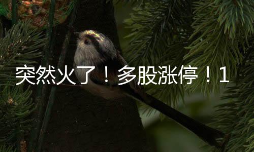 突然停元比赛门票一票难求