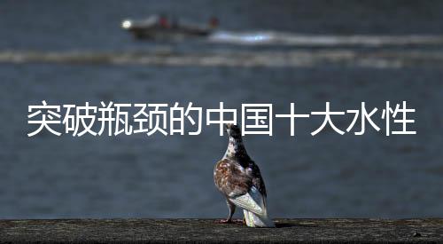 瓶颈牌鱼近几年来