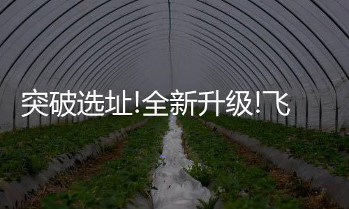 以极简的几何造型结构为基础