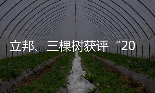 提升员工的雇主幸福感