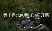 快排公司十年历程，霸屏兔 seo 的崛起与坚守