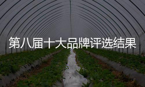 在一片大好形势之下