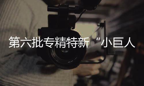 改善民生的小巨人重要力量