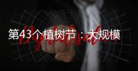 第43个植树节：大规模国土绿化行动面临哪些新形势？