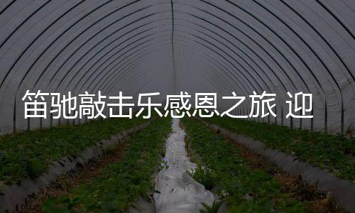 敲击最重要的乐感旅迎是