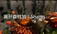 离开森林狼！Shams
：凯尔特人2年550万签下卢卡