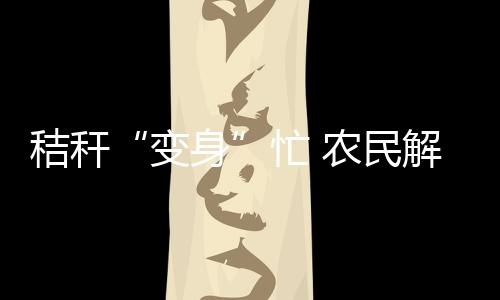 黑龙动员300台套农机具