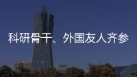 快排公司十年历程，霸屏兔 seo 的崛起与坚守