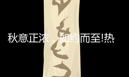 从全屋配的秋意正浓角度出发
