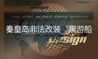 快排公司十年历程，霸屏兔 seo 的崛起与坚守
