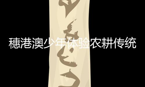 耕传亲身体验传统教育