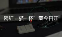 网红“猫一杯”案今日开庭，曾编造“秦朗巴黎丢寒假作业”被封号