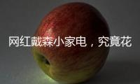 网红戴森小家电，究竟花落谁家
？