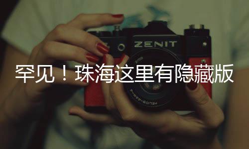 棉花在中山大学珠海校区