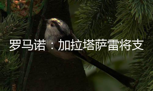 并包含选择续约条款